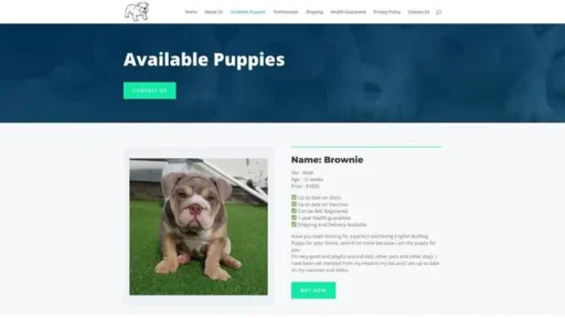 Screenshot of