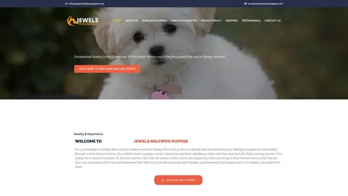 Screenshot of