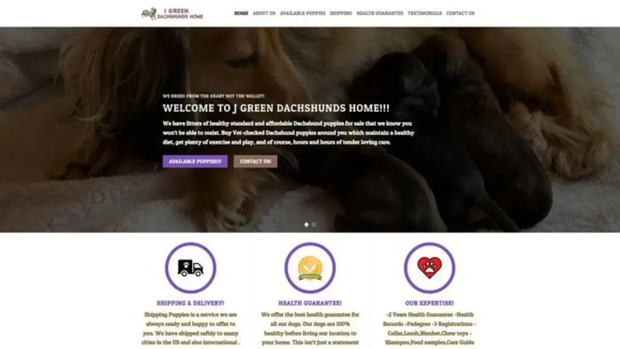 Jgreendachshundshome