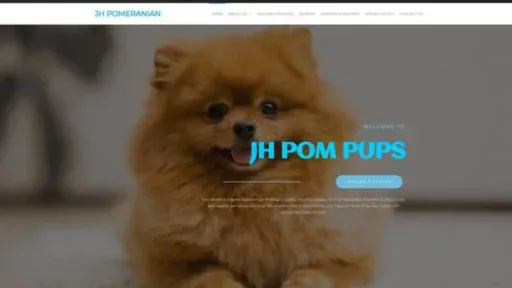Screenshot of||