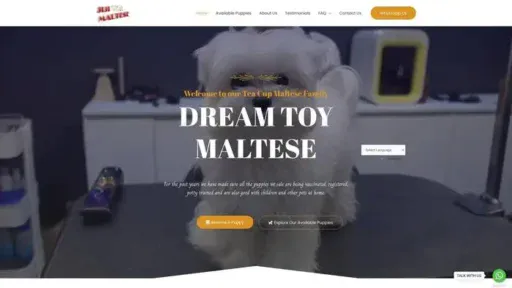 Screenshot of