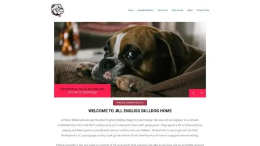 Screenshot of
