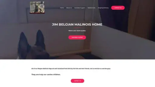 Screenshot of