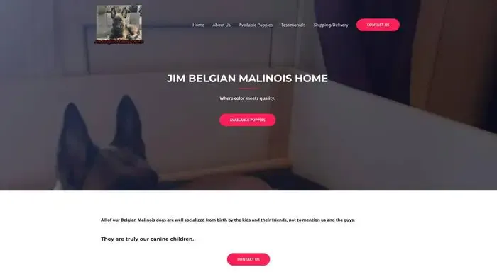 Screenshot of