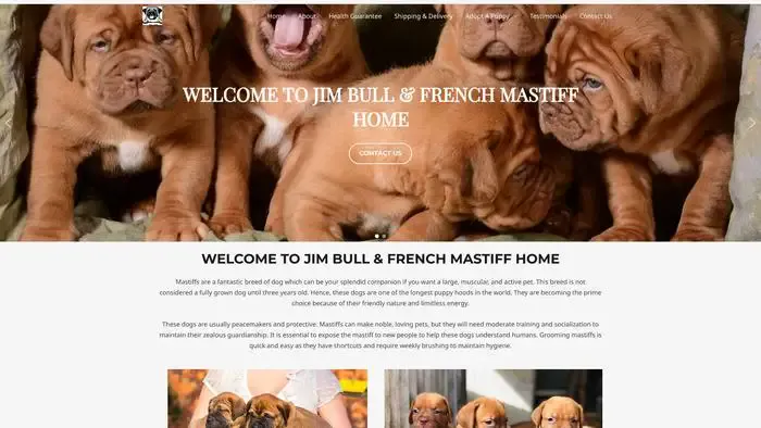 Screenshot of