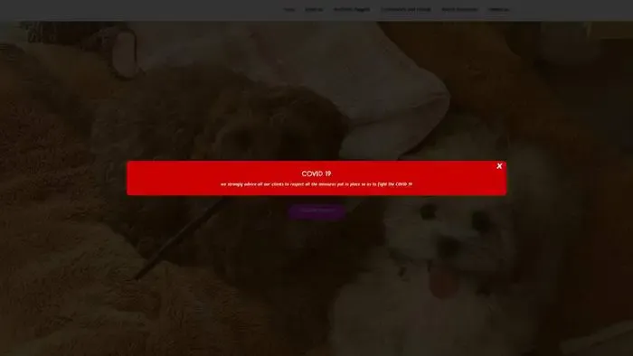 Screenshot of
