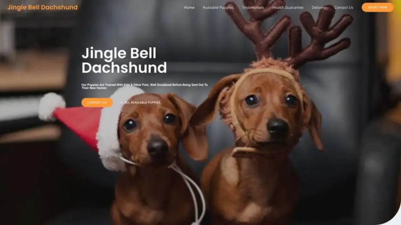 Jinglebelldachshund