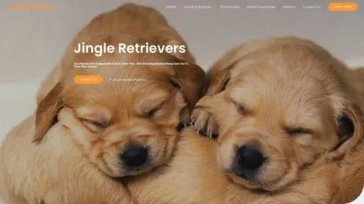 Screenshot of||