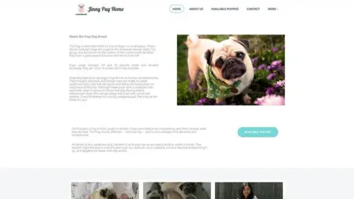 Screenshot of