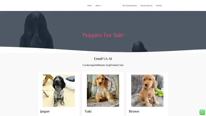 Screenshot of
