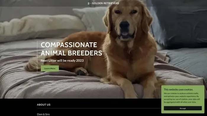 Screenshot of