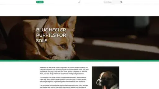 Screenshot of