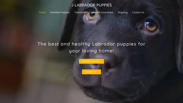 Screenshot of