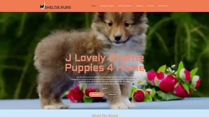 Screenshot of