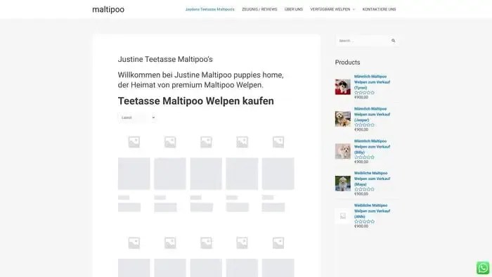 Screenshot of