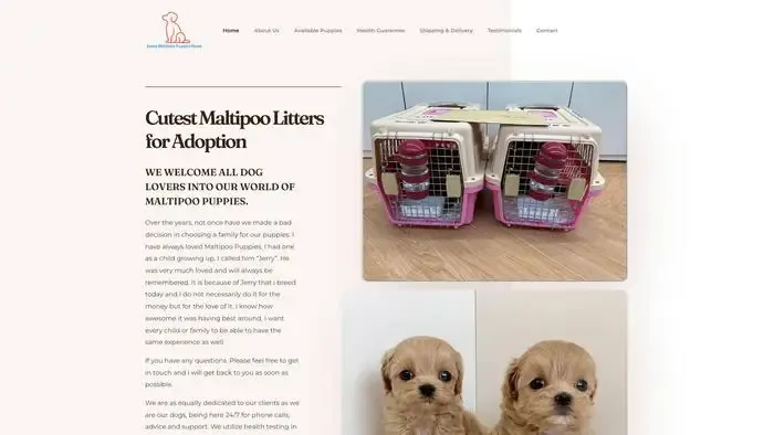 Screenshot of