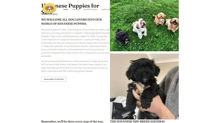 Screenshot of