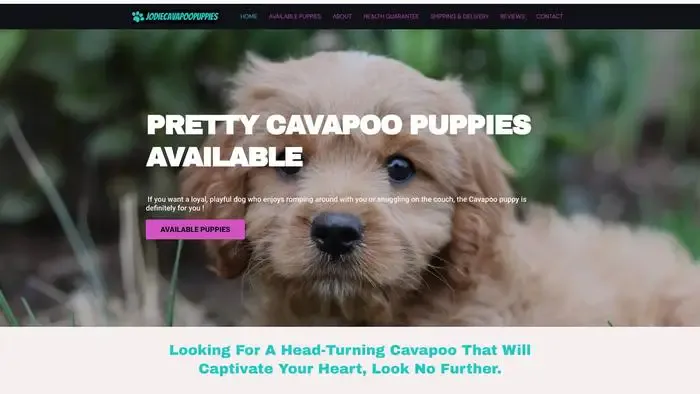 Screenshot of