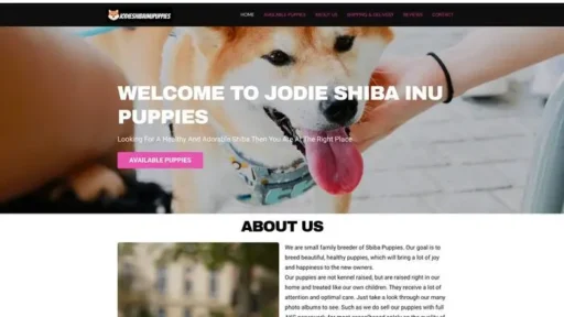 Screenshot of