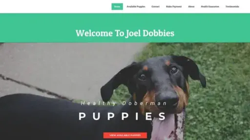 Screenshot of