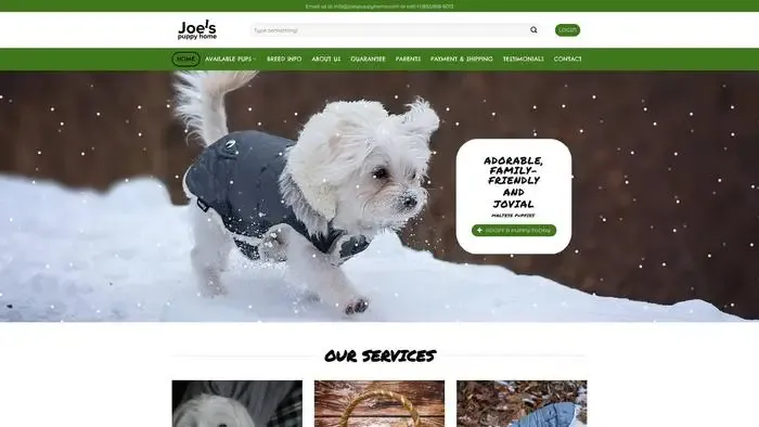 Screenshot of