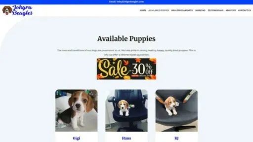 Screenshot of||