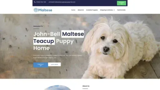 Screenshot of