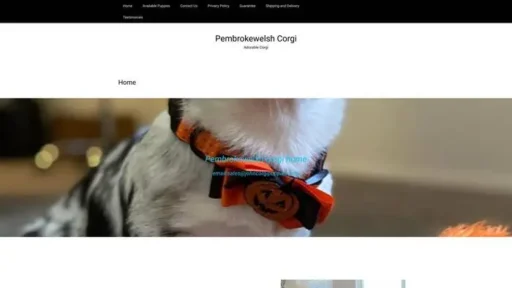 Screenshot of