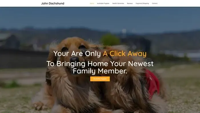 Screenshot of