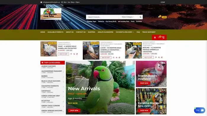 Screenshot of