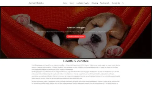Screenshot of