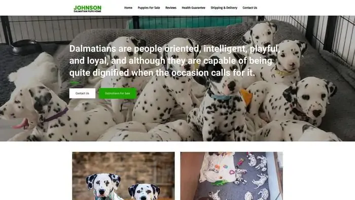 Screenshot of