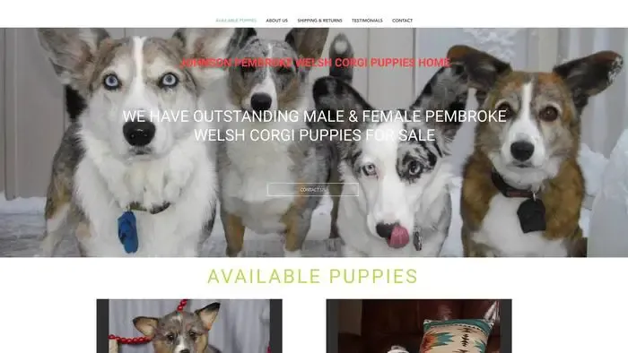 Screenshot of