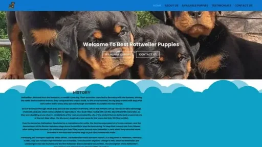 Screenshot of