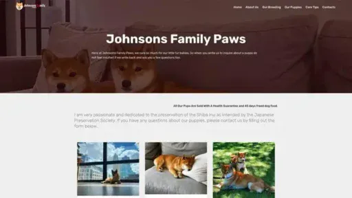 Screenshot of