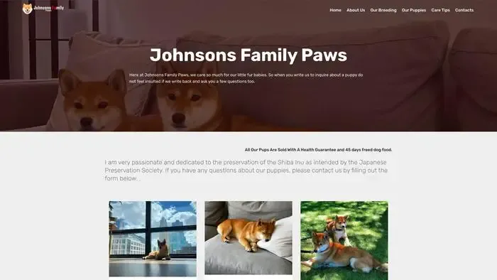 Screenshot of