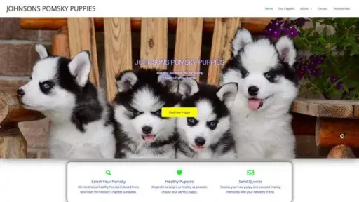 Screenshot of