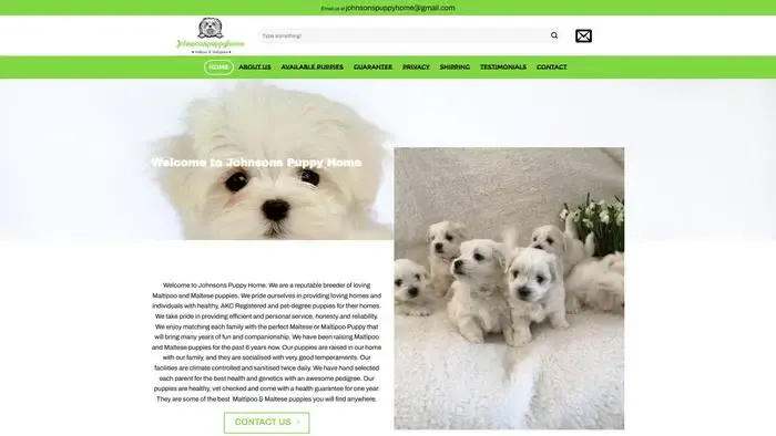 Screenshot of