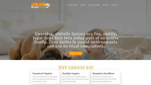 Screenshot of