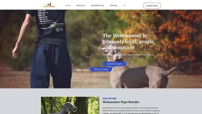 Screenshot of