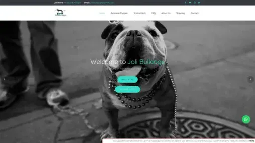 Screenshot of