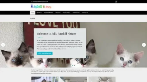 Screenshot of