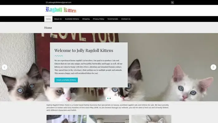 Screenshot of