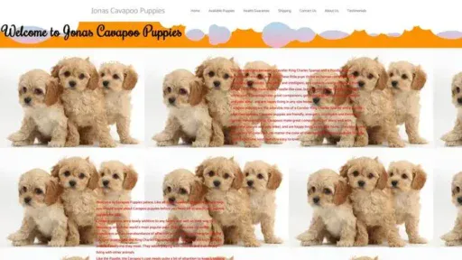 Screenshot of