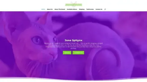 Screenshot of