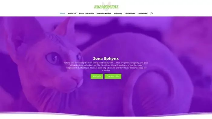 Screenshot of
