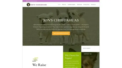 Screenshot of
