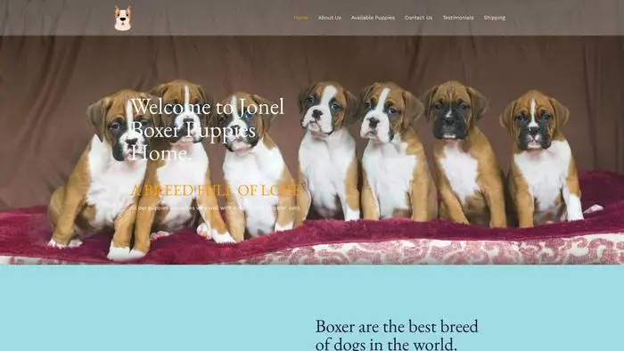 Screenshot of