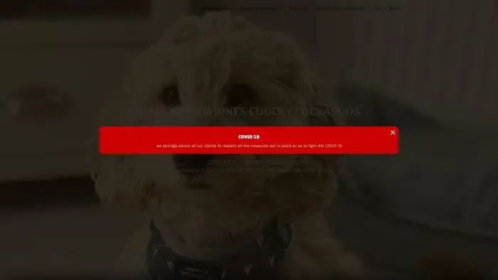 Screenshot of