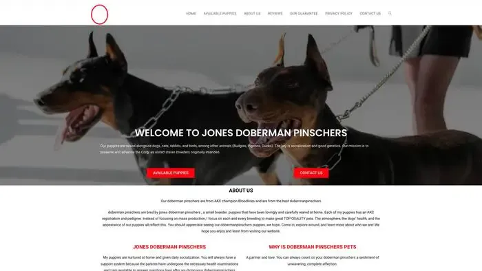 Screenshot of